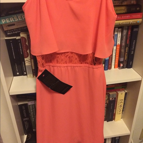 SALE! Bebe Salmón Dress - Picture 2 of 4